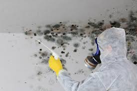 Best Mold Prevention Services  in Janesville, IA